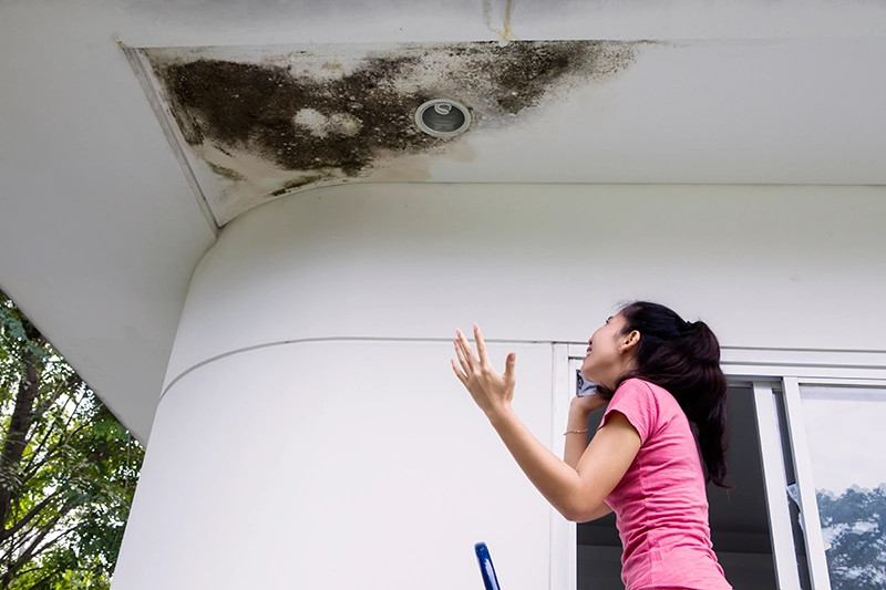 Mold Investigation Services
