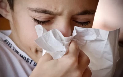 4 Ways to Allergy-Proof Your Home